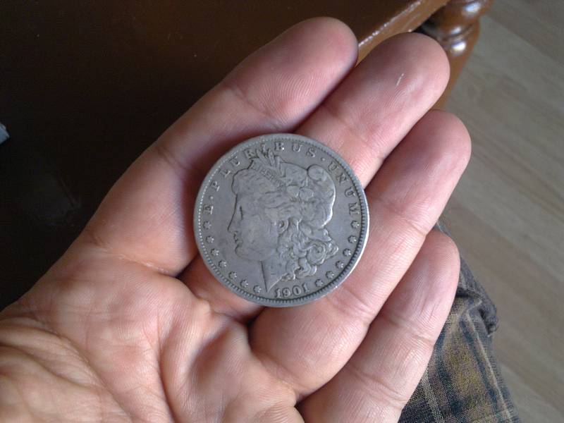 One silver dollar of United States of America from 1901