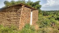 Mud building on the site