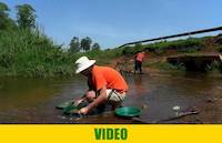 Gold panning on the stream