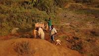 Miners working on the sluice