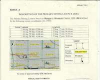 Sample Primary Mining License for gold in Tanzania